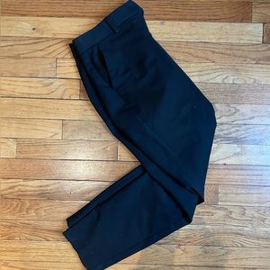 Express Columnist Ankle Dress Pants